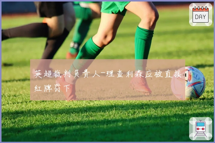 英超裁判负责人-理查利森应被直接红牌罚下